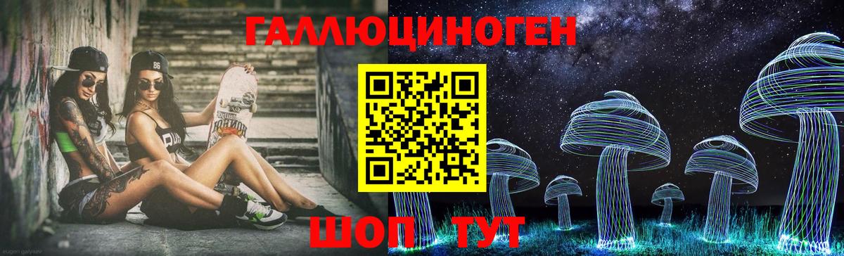 Галлюциногенные грибы Psilocybe Мичуринск